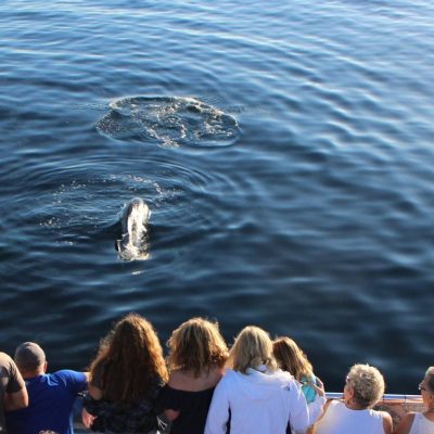 a group of people standing next to a body of water