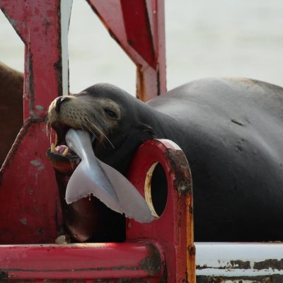 a red fire hydrant on the side of a building