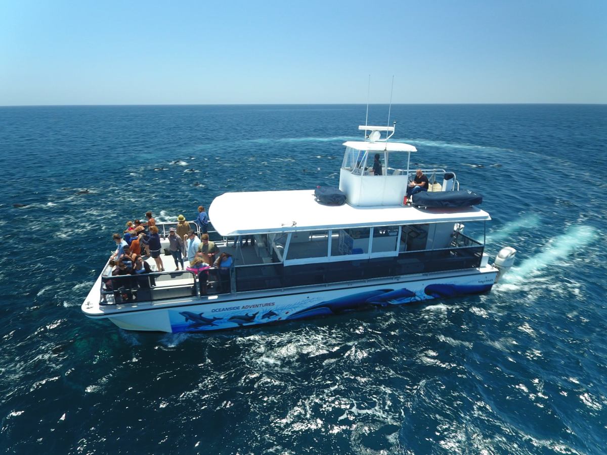 Boat Rentals Oceanside 2 Hour Trips Oceanside Adventures I