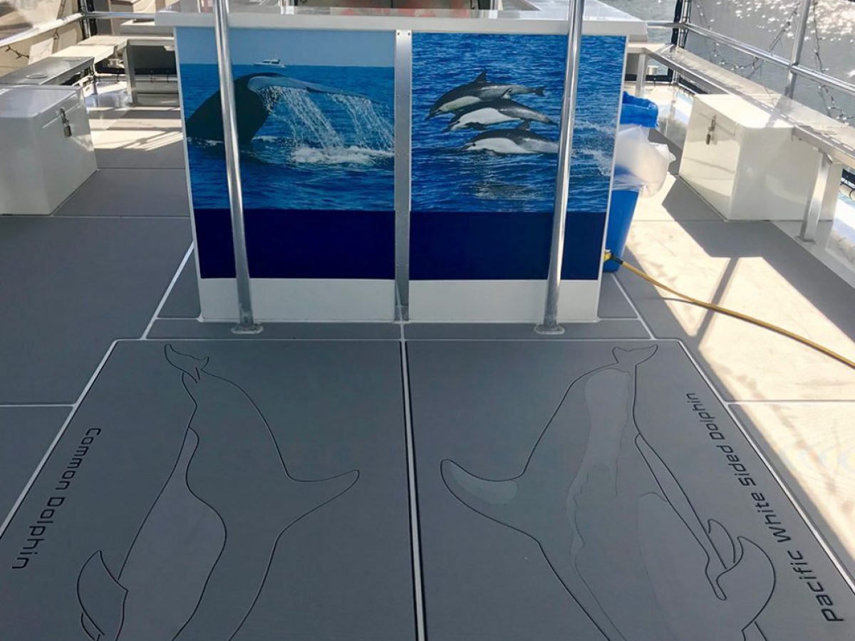 a blue and white boat parked on the side of a building