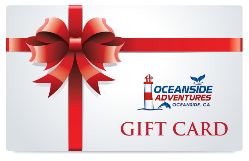 gift-card Gift Card