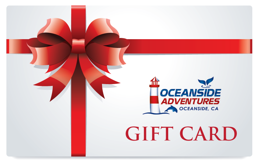 gift-card Gift Card