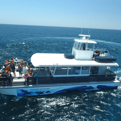 a large ship in a body of water