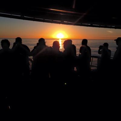 a group of people watching a band on stage in front of a crowd