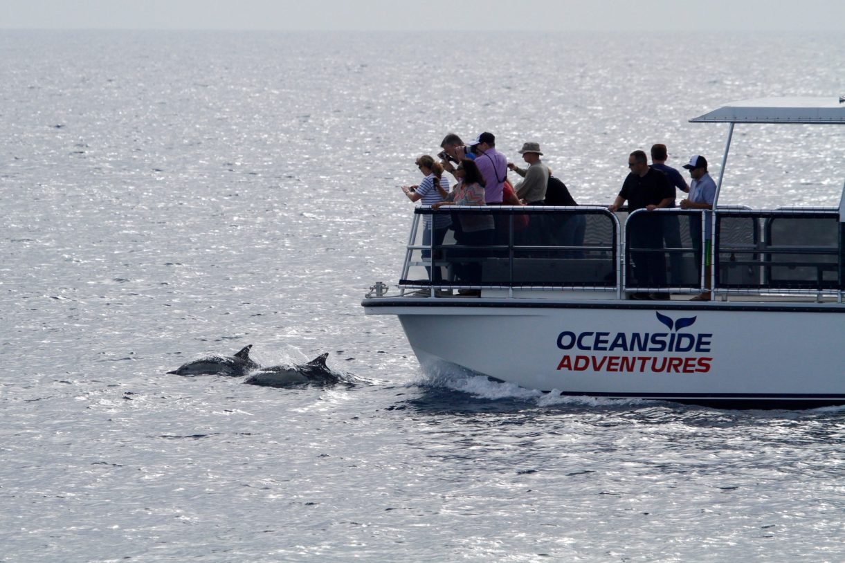 a group of people riding on the back of a boat in the water