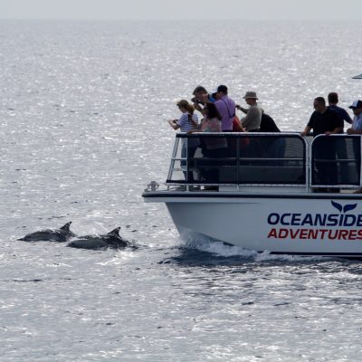a group of people riding on the back of a boat in the water