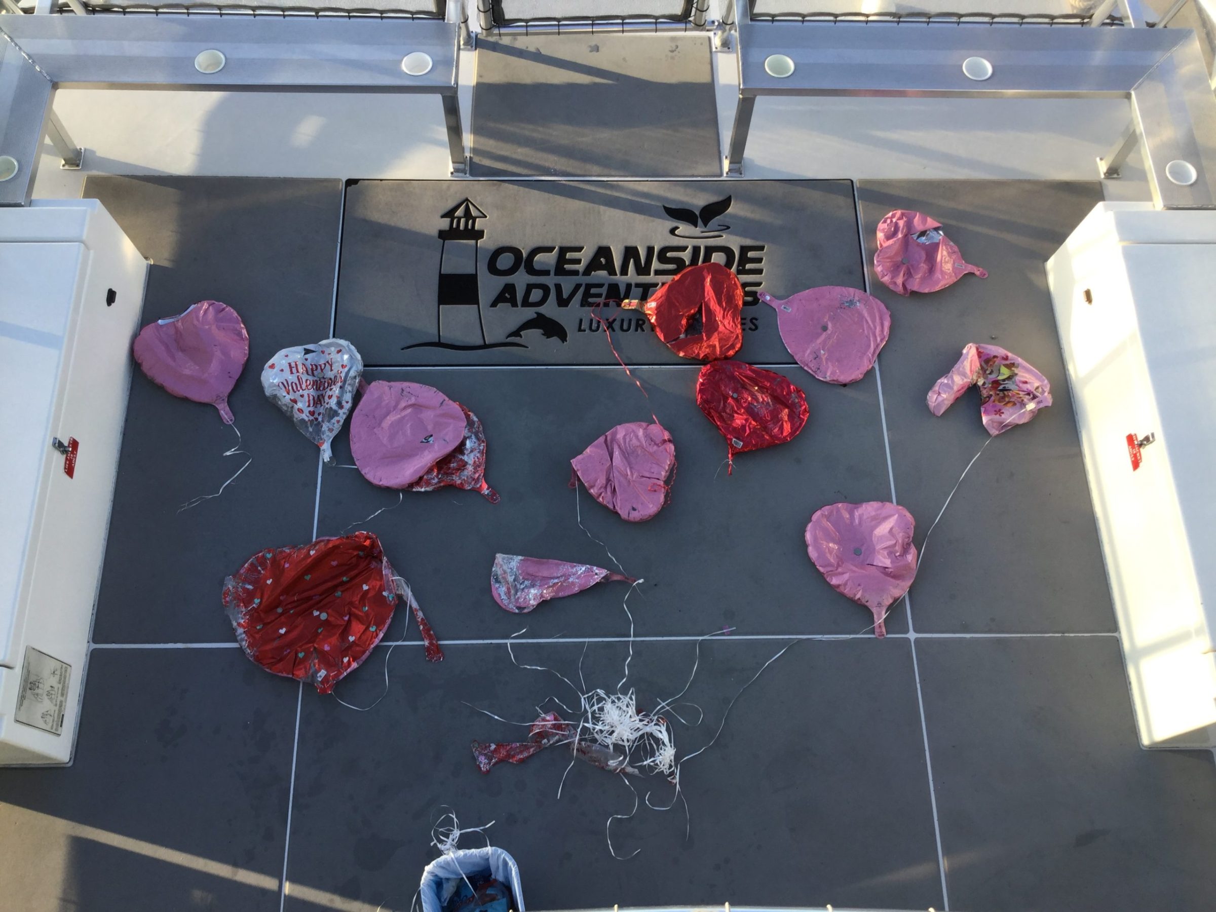 a group of pink flowers