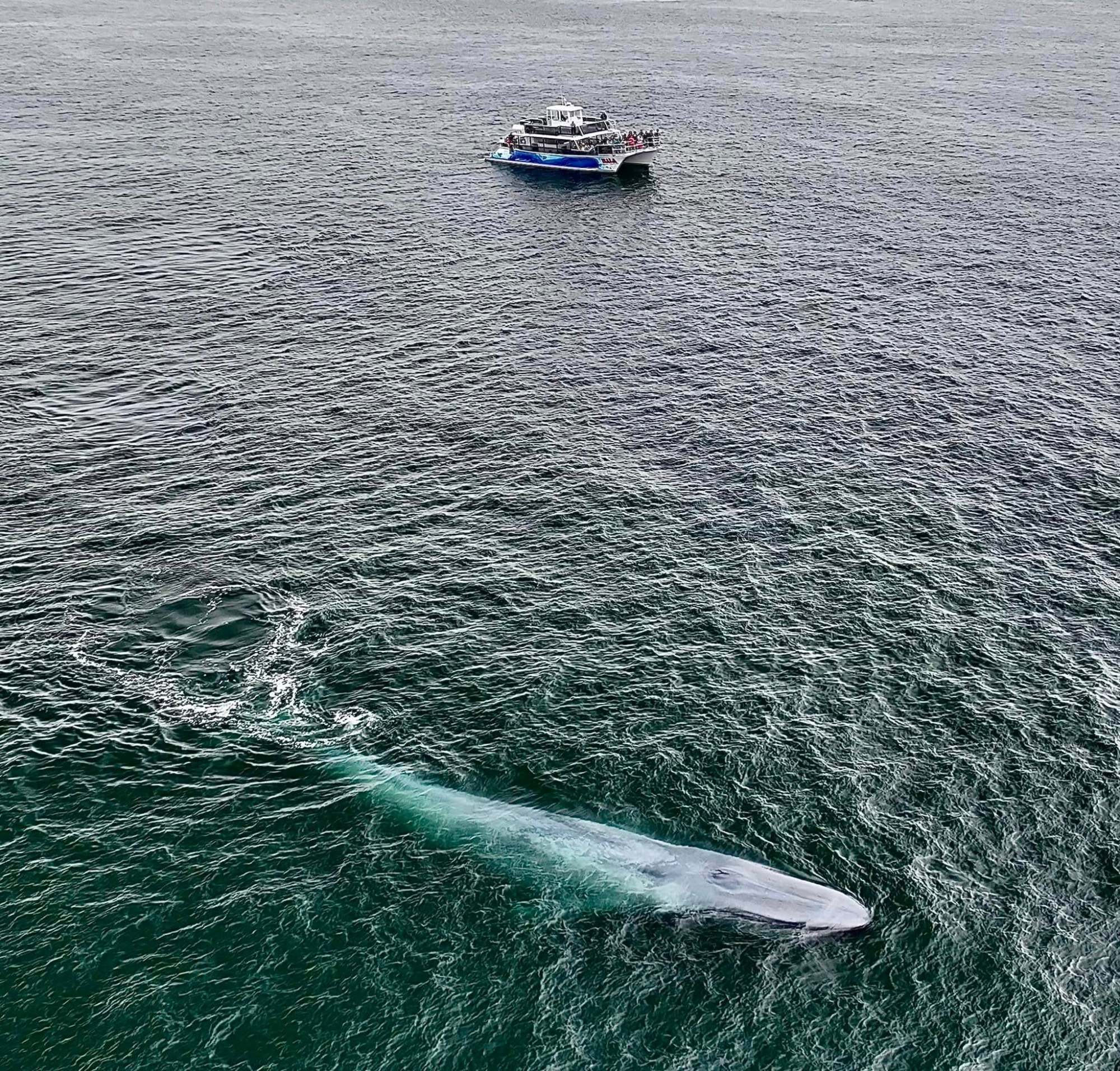 494629144_1224184933051147_6919889642031344068_n a small boat in a body of water