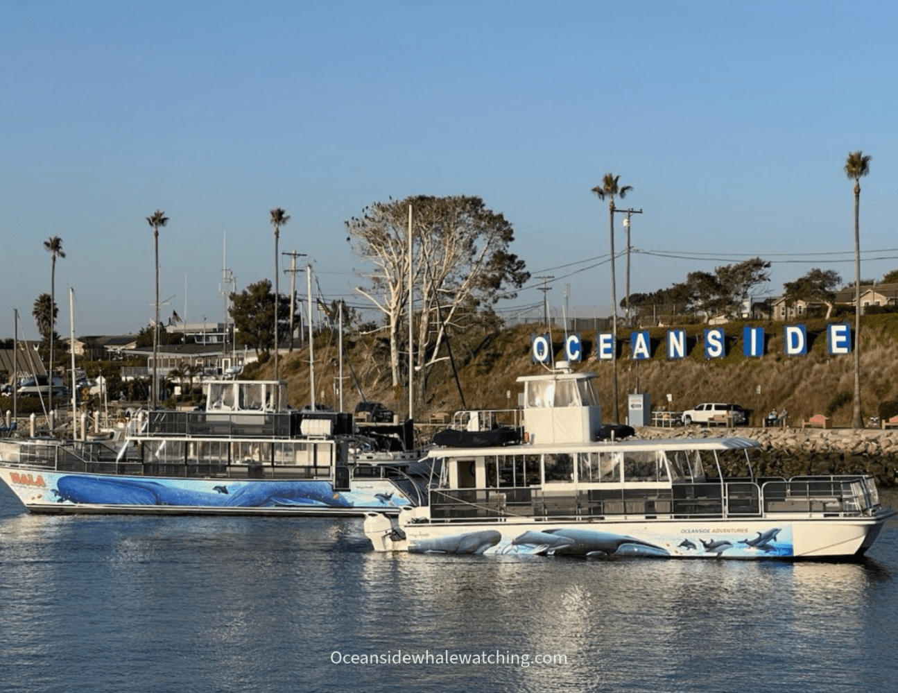 Two boats with whale murals docked near a hillside with 'Oceanside' sign, under a clear blue sky.