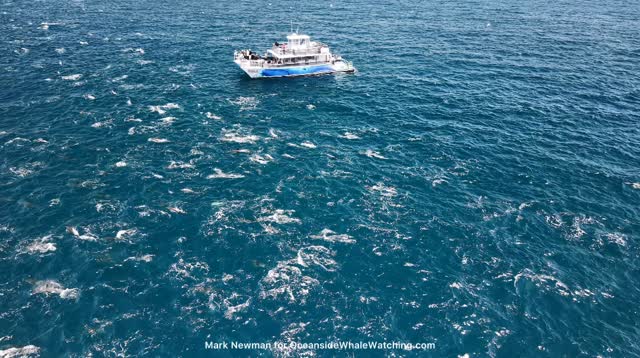 a group of people on a boat in the water